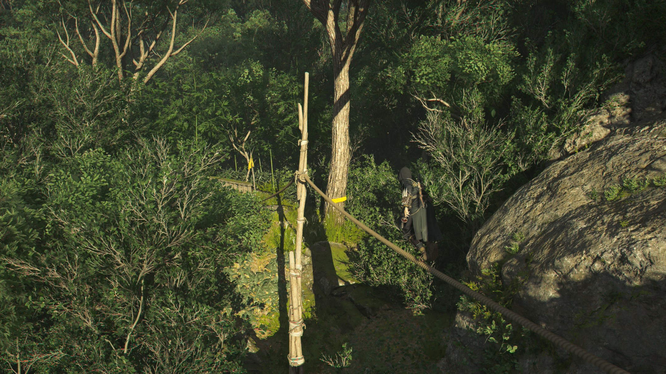 Naoe walks carefully along a tightrope in the woods in Assassin’s Creed Shadows