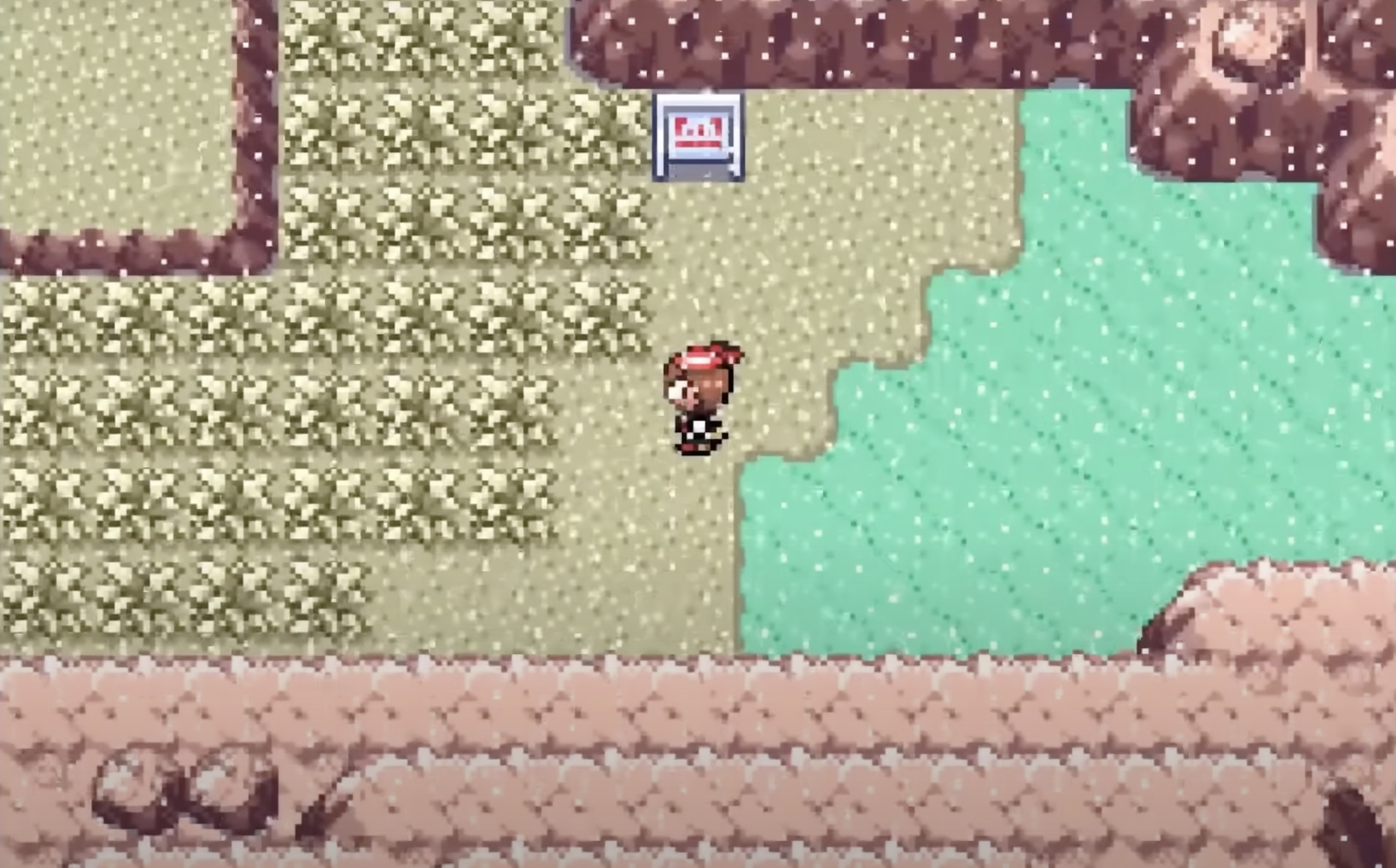 A screenshot shows route 113 in Pokémon Sapphire
