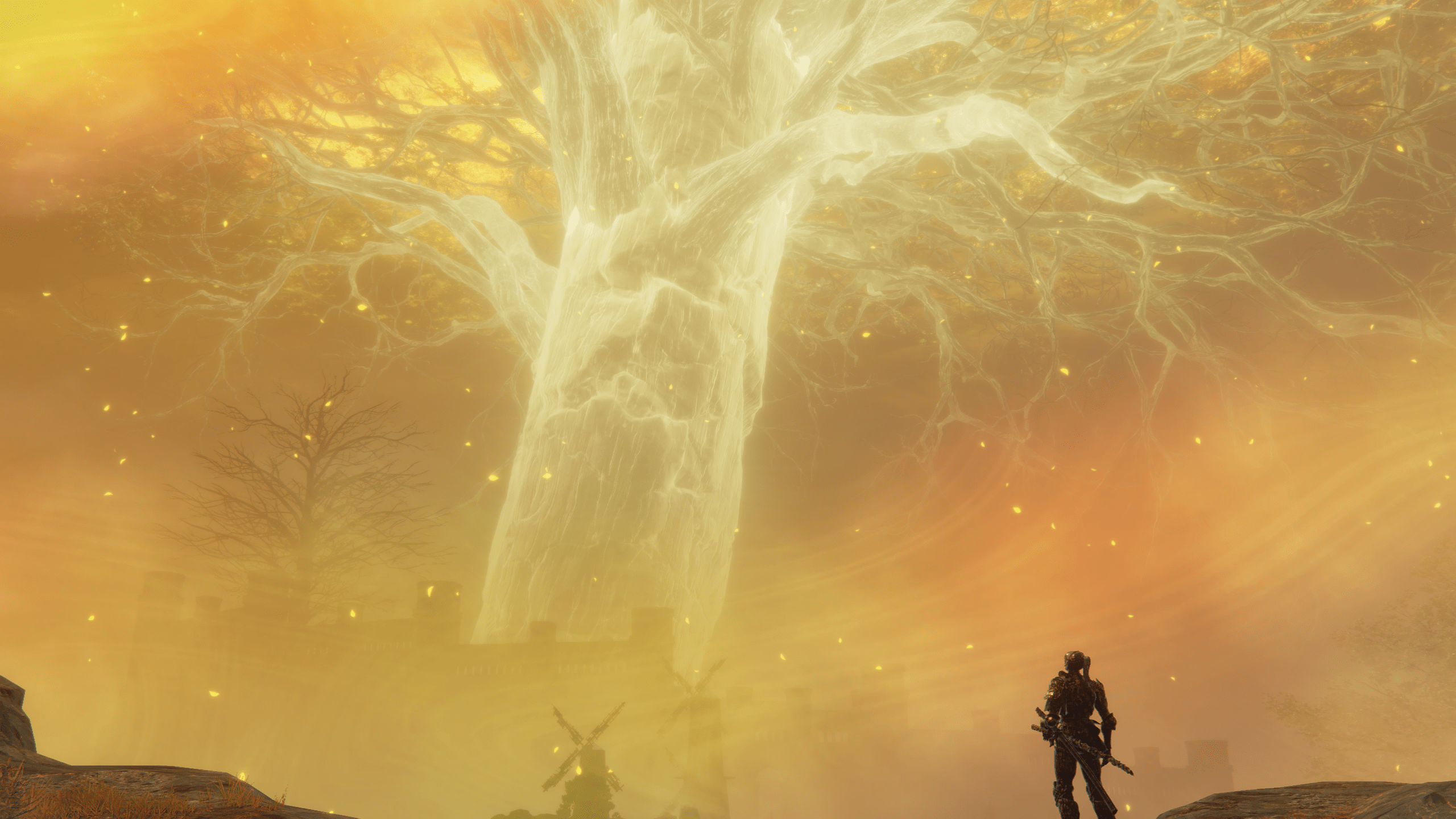 An Elden Ring Nightreign player stares at a big glowy tree