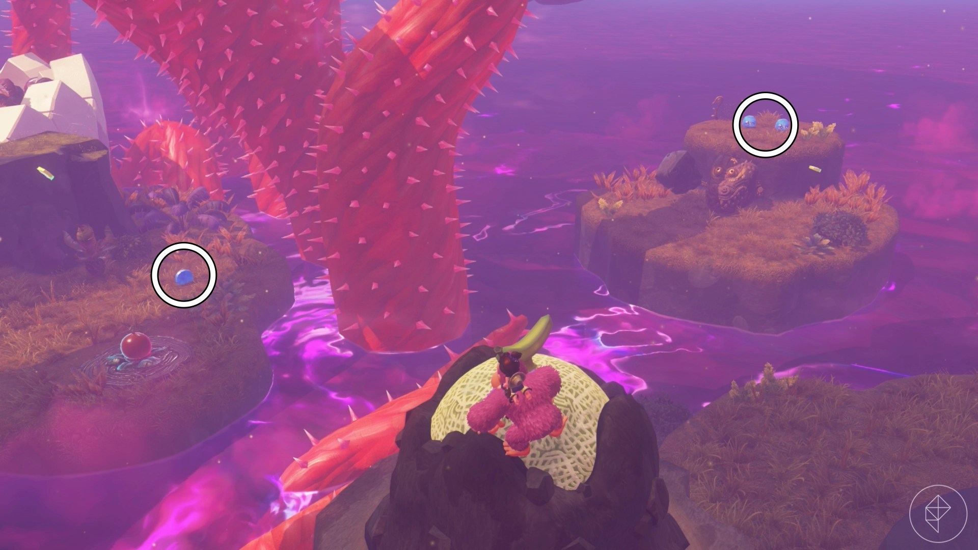 Donkey Kong standing on top of a honeydew melon along with circles indicating the location of three crystal fragments in the Forest Layer of Donkey Kong Bananza.
