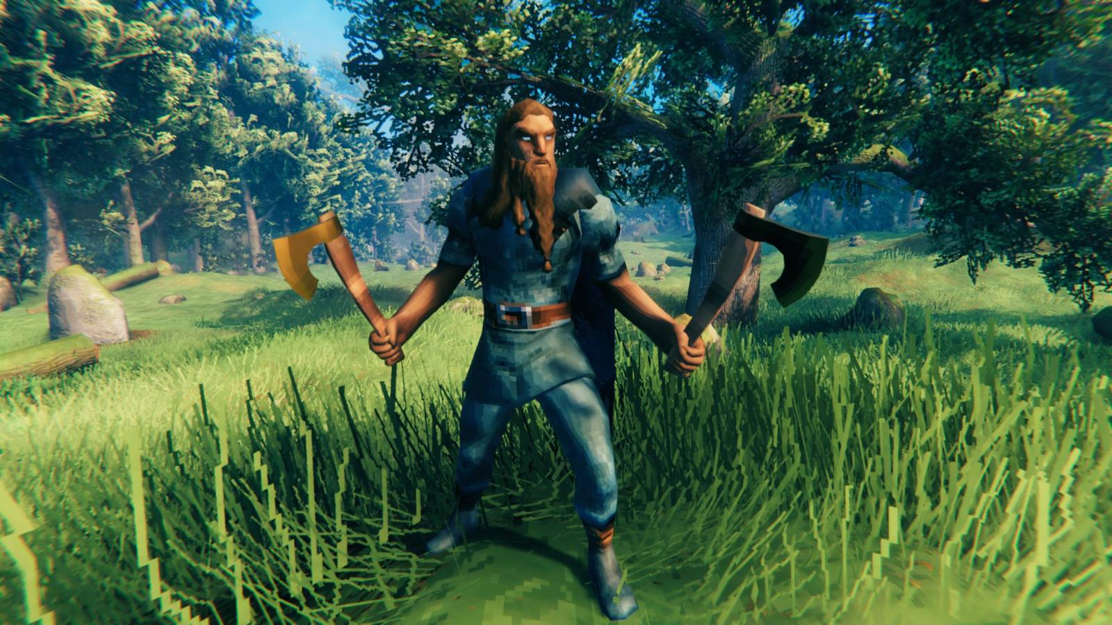 A dense forest environment representing the Meadows biome in Valheim