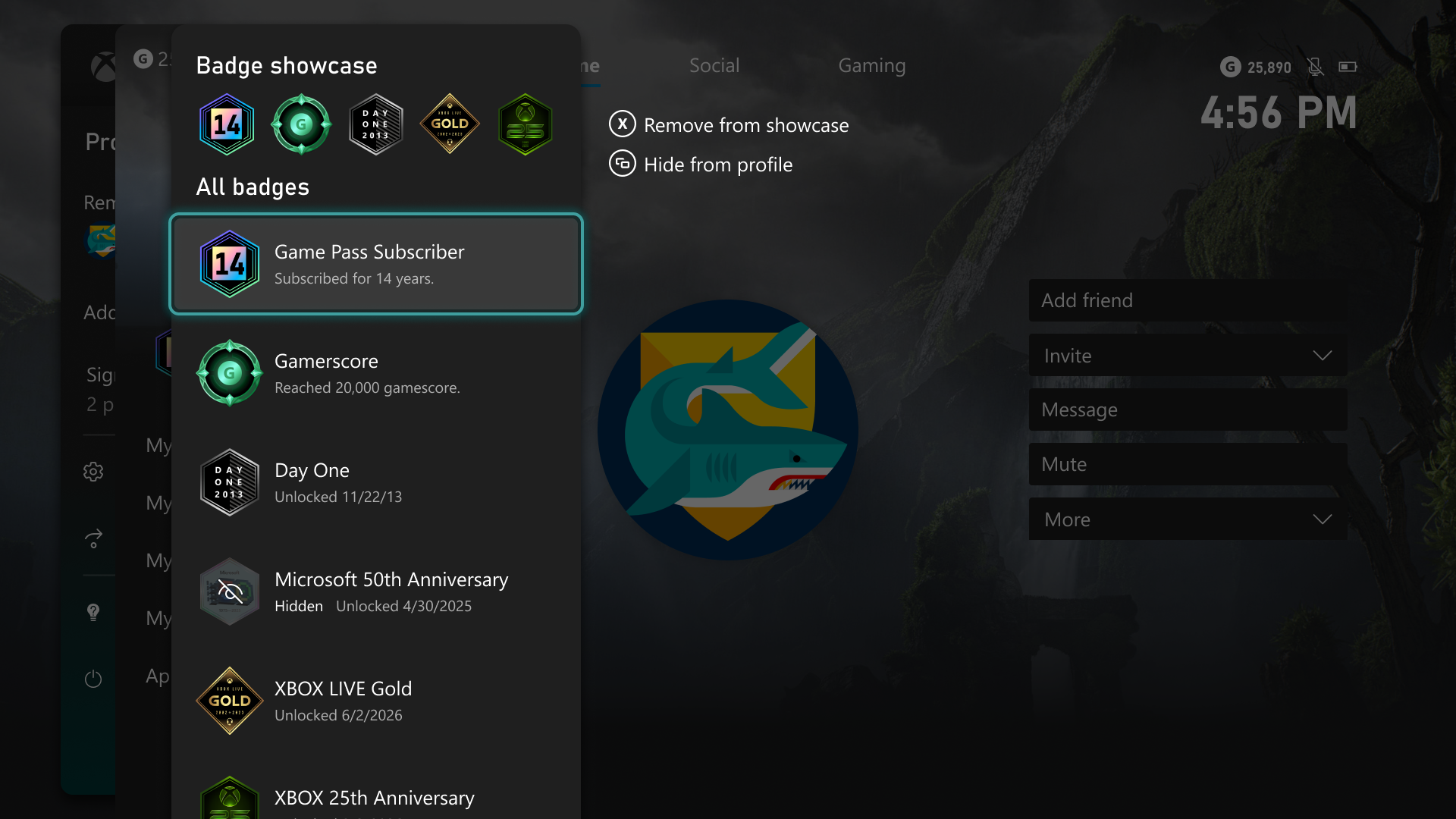 Gaming profile badges displayed on screen